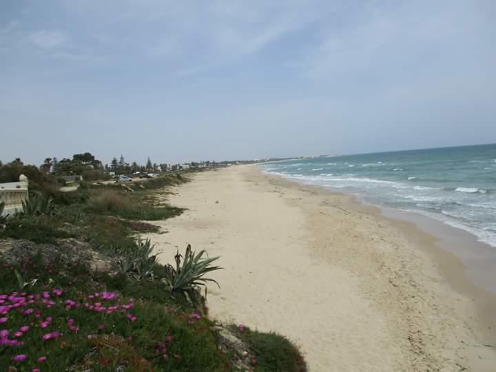 Le Lagon De Hammamet Exteriér fotografie